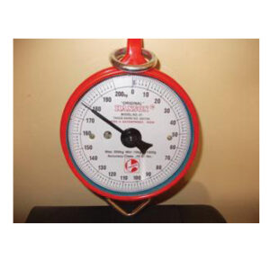 Mechanical hanging scale